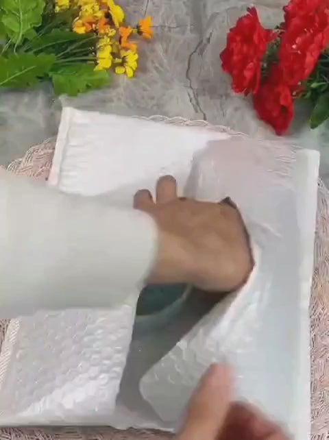 Brazilian Lucky Wood Plant | Mini Home Decor with Good Luck Charm